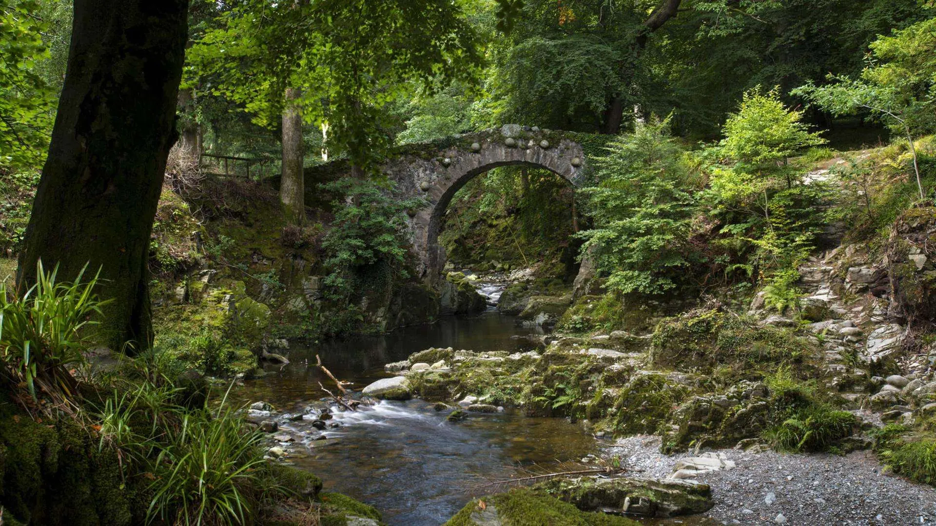 Visit Tollymore Forest