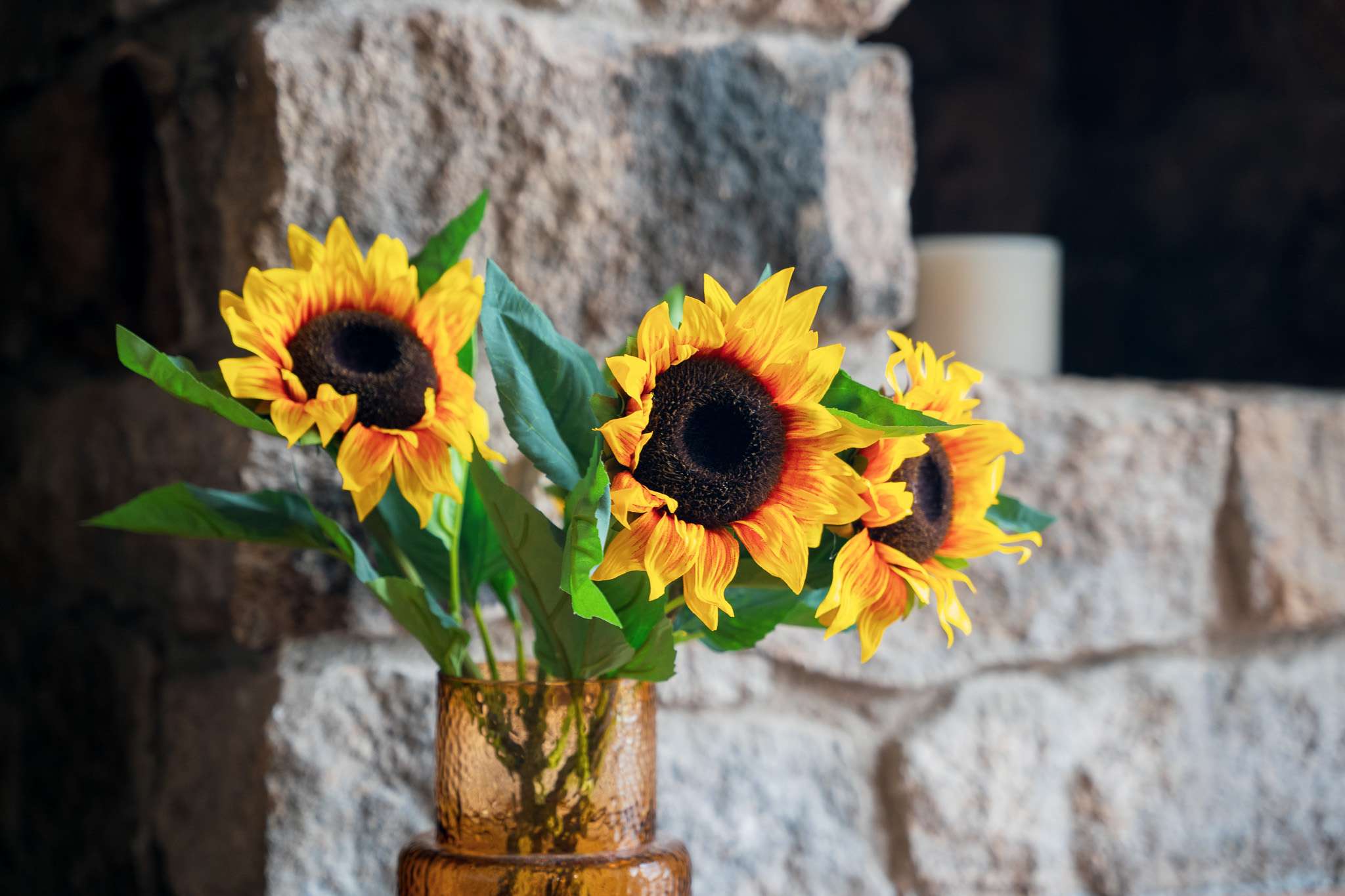 Beautiful Sunflower